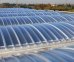 Polykarbonátová komůrková deska trapézová Greca 250/40,... - 1
